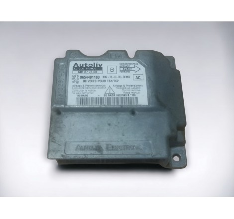Modulo Airbag Cajetin Peugeot 307 606877300