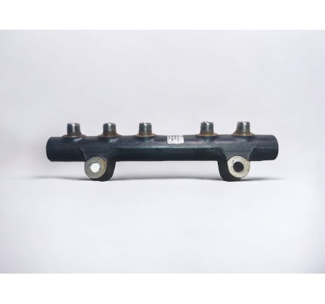 Riel Inyeccion Citroen C Elysee 2012-2017