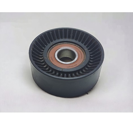 Polea Citroen C4 2005-2010
