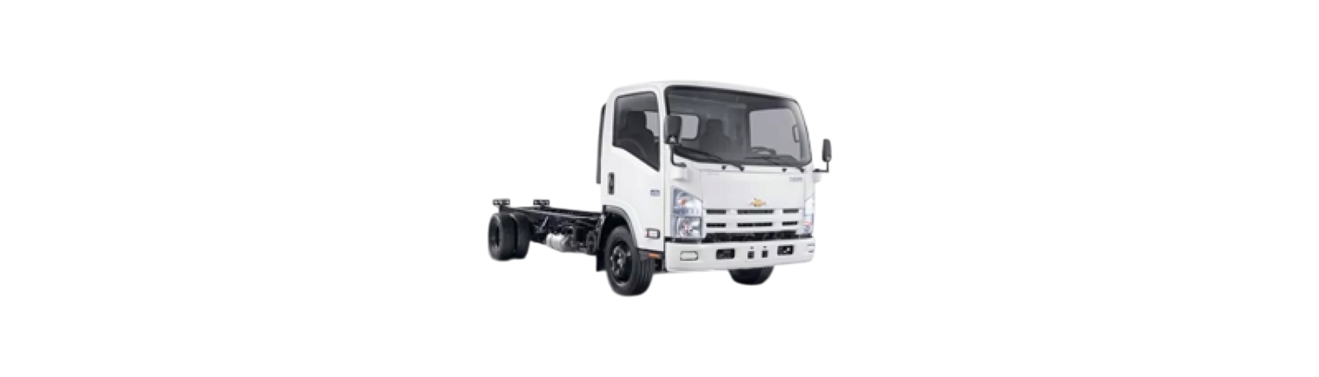 Isuzu Npr 2007-2020